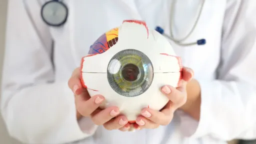 ส่วนประกอบของดวงตา มีอะไรบ้าง