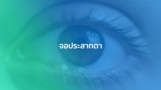 จอประสาทตา