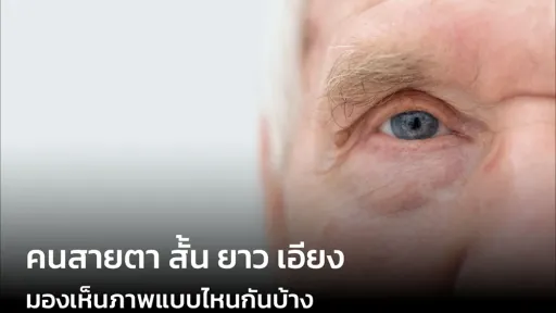 คนสายตา สั้น ยาว เอียง มองเห็นภาพแบบไหนกันบ้าง