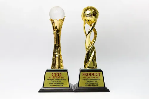 PRODUCT OF THE YEAR 2021