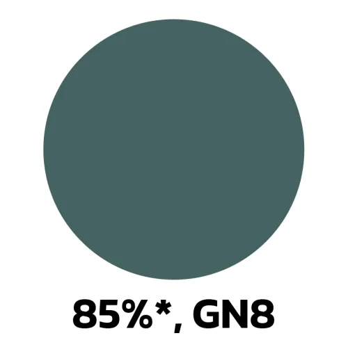 10. 85-GN8.jpg
