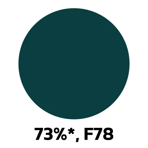 12. 73-F78.jpg