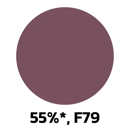 13. 55-F79.jpg