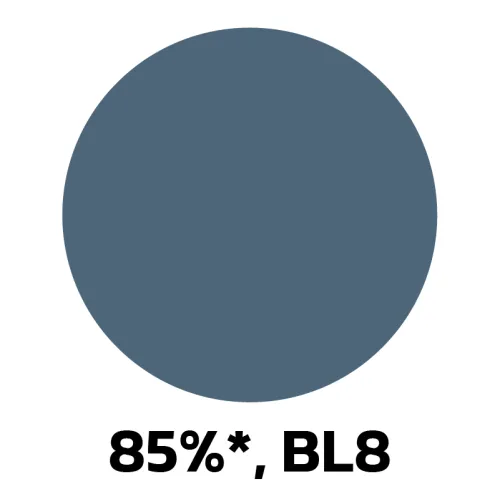 14. 85-BL8.jpg