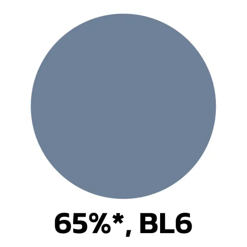 16. 65-BL6.jpg