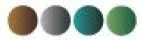 rodenstock