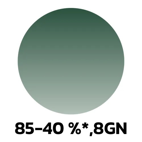 7. 85-40-8GN.jpg