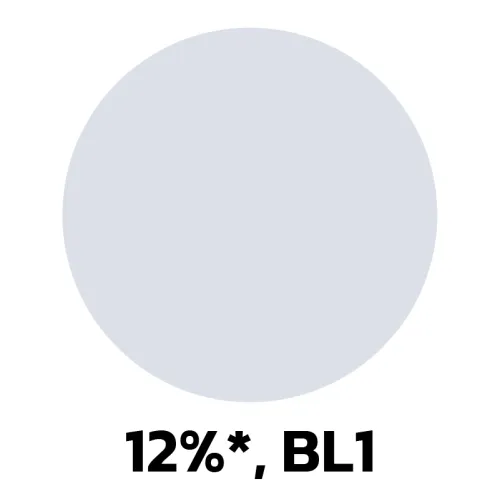8. 12-BL1.jpg