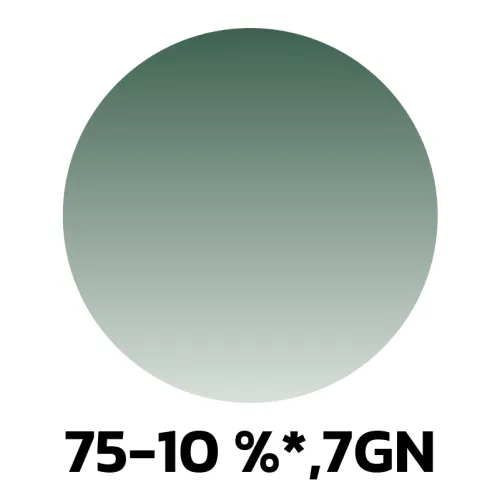 8. 75-10-7GN.jpg
