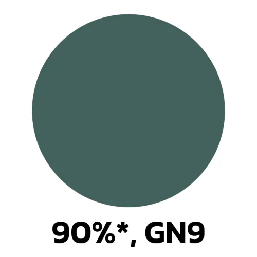 9. 90-GN9.jpg