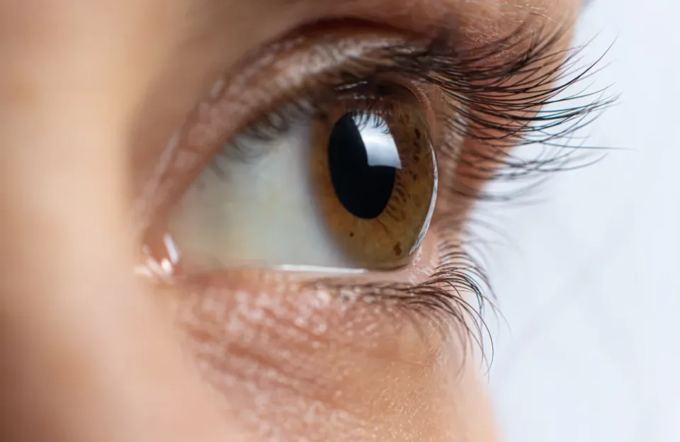 กระจกตาคืออะไร มีความสำคัญอย่างไร